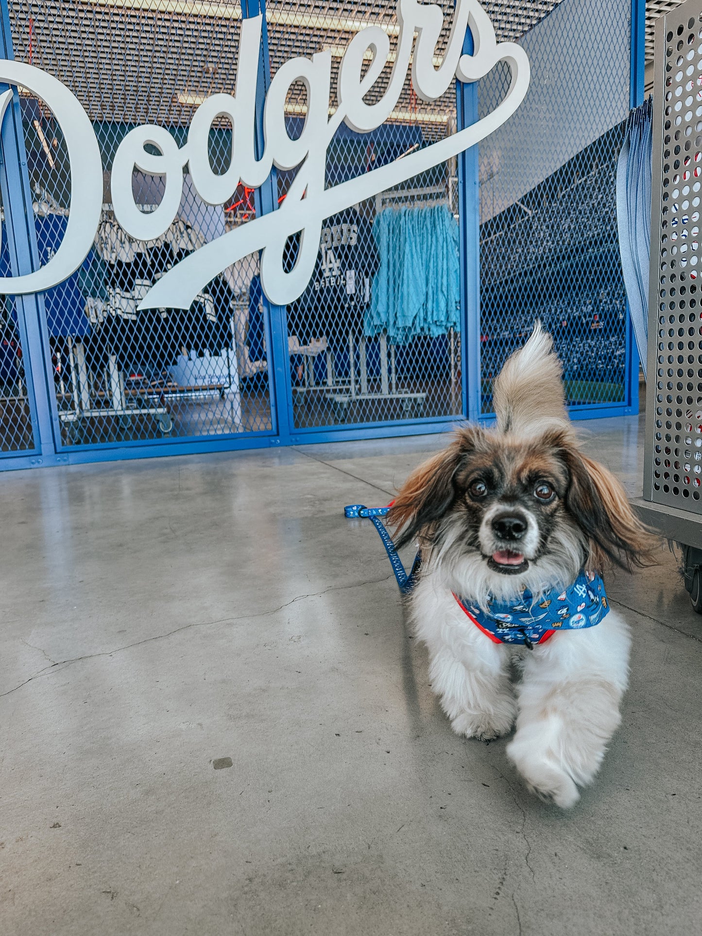 Harness Three Piece Bundle - MLB™ x Peanuts™ Los Angeles Dodgers™