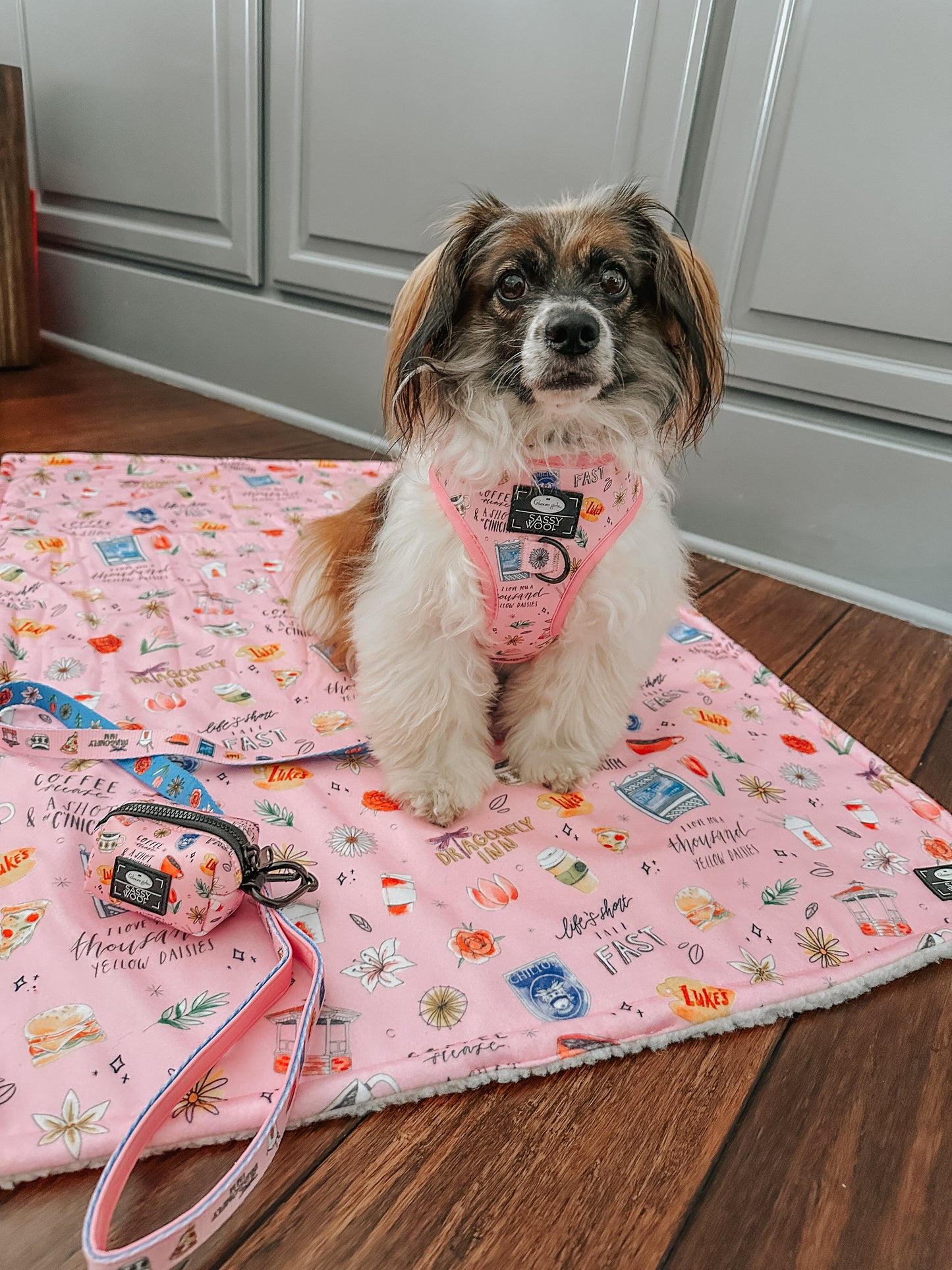 Pet Blanket - Gilmore Girls™