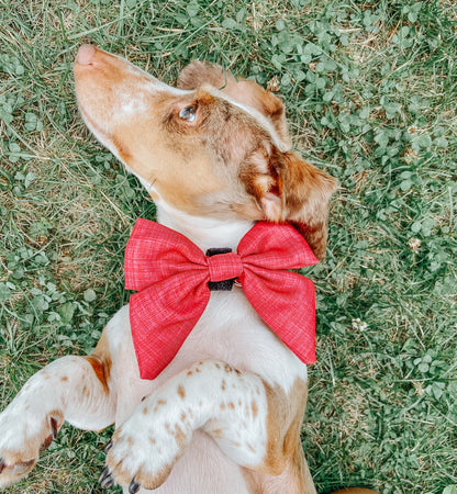 Dog Sailor Bow - Merlot