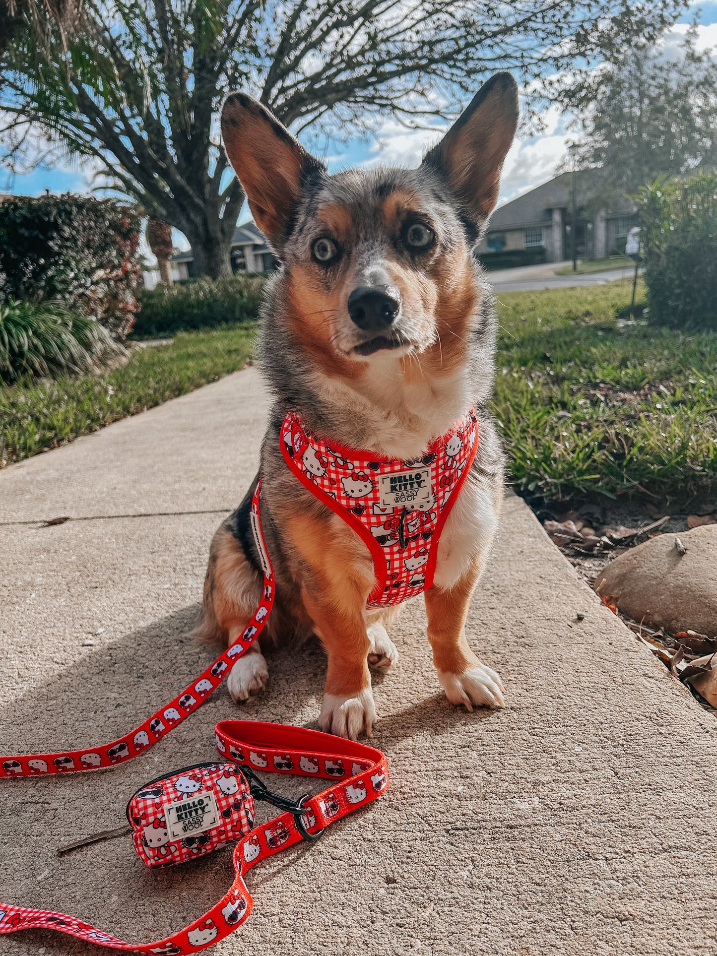 Dog Leash - Hello Kitty® Red Classic