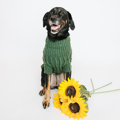 Pet Cable Knit Sweater - Dark Green