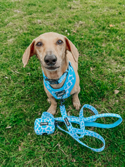 Dog Two Piece Bundle - Blueberry Milk