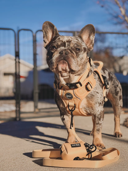 Dog Waste Bag Holder - Daffodil