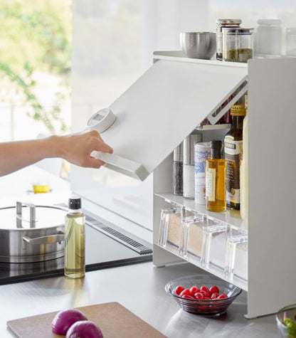 Yamazaki Home Concealable Spice Rack - Steel