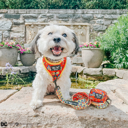 Dog Adjustable Harness - Wonder Woman™