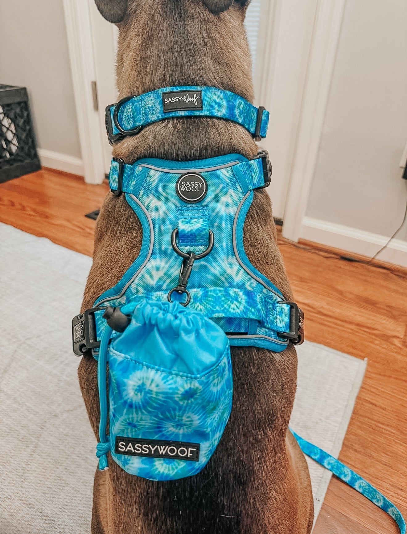 Dog Two Piece Bundle - Tropical Tides